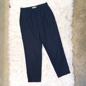 Everlane Wool Stretch Waist Classic Navy Trousers